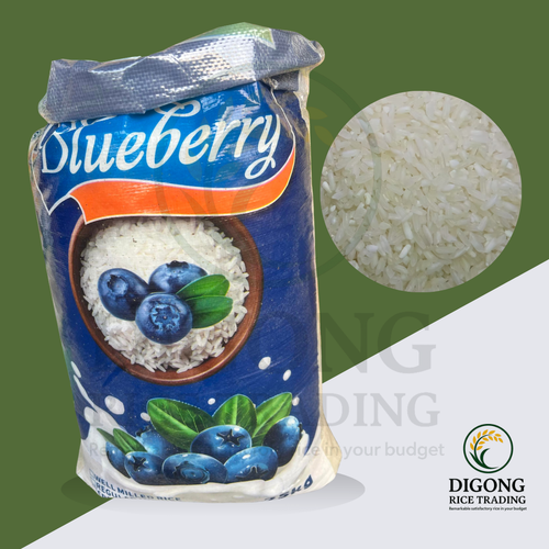 Blueberry